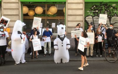 Fessenheim, non au vandalisme climatique !