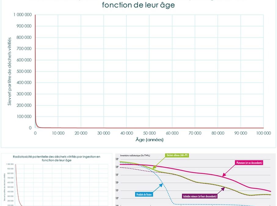 Radiotoxicité des déchets