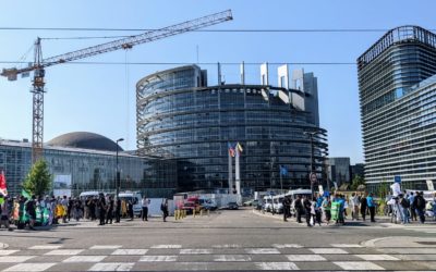 Taxonomie européenne – “Final Stand” et rétrospective