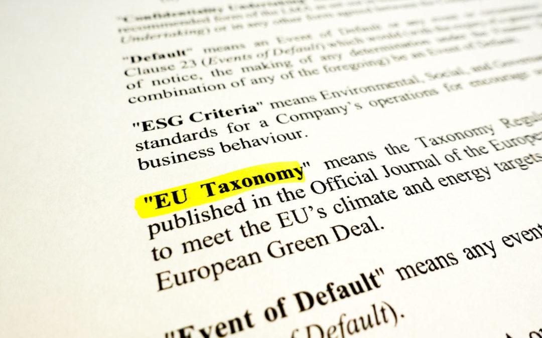 La Taxonomie des investissements durables, l’arme de l’UE pour entamer sa transition énergétique